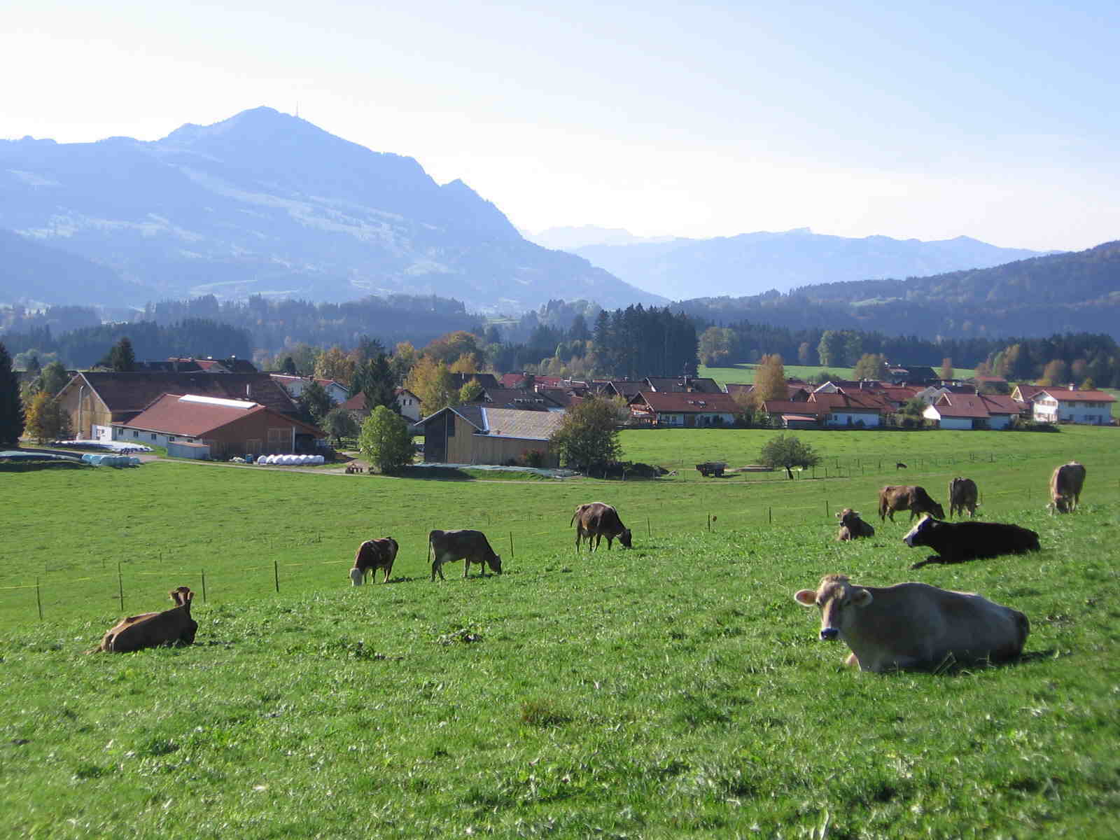 Blick auf Moosbach