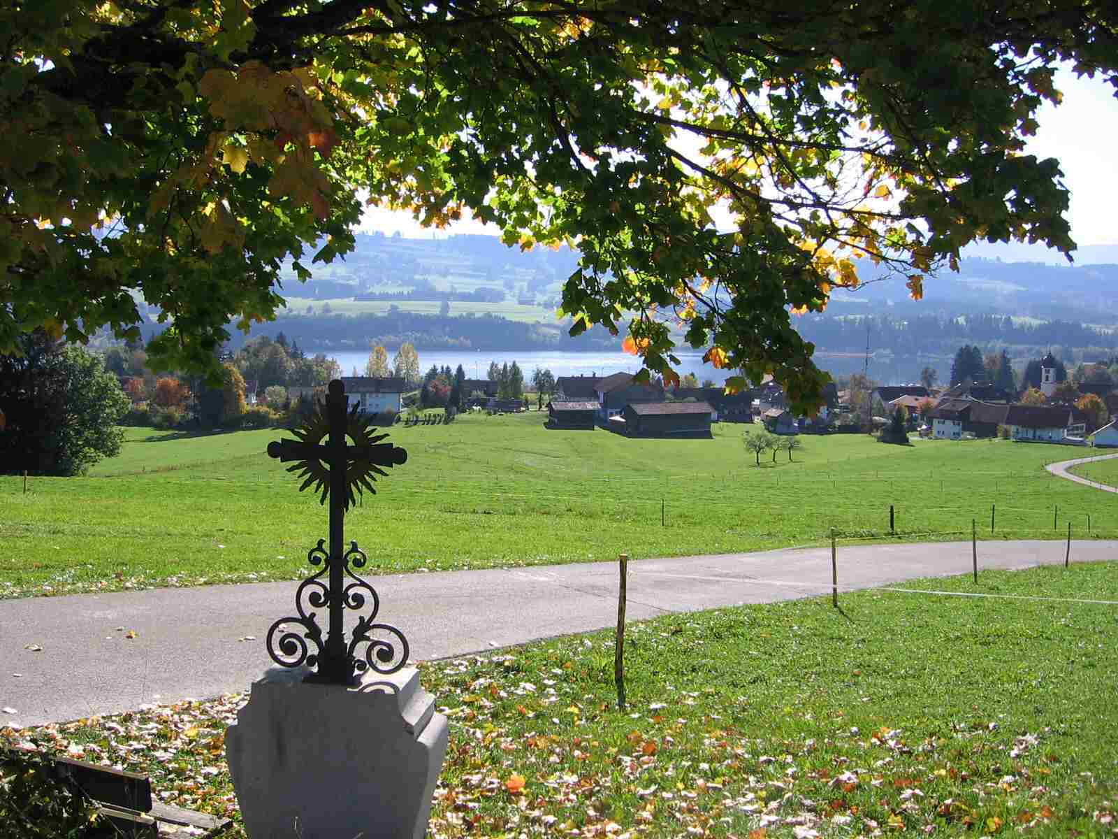 Moosbach mit See